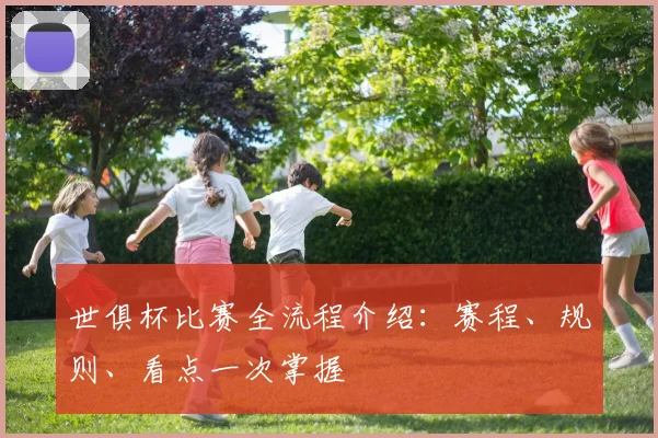 世俱杯比赛全流程介绍:赛程、规则、看点一次掌握