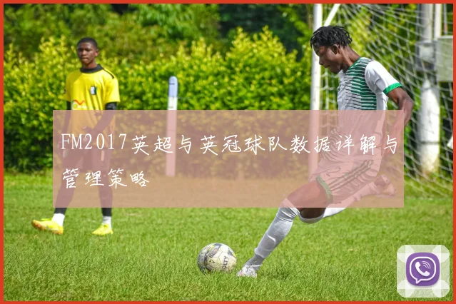 FM2017英超与英冠球队数据详解与管理策略