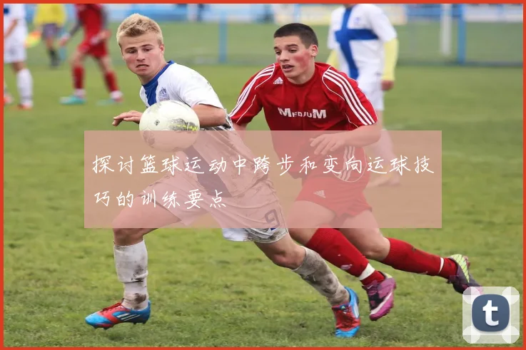 探讨篮球运动中跨步和变向运球技巧的训练要点
