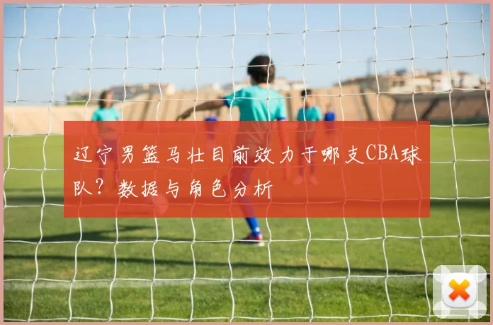 辽宁男篮马壮目前效力于哪支CBA球队？数据与角色分析