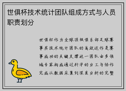 世俱杯技术统计团队组成方式与人员职责划分